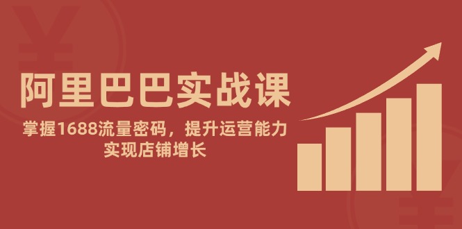 阿里巴巴实战课：掌握1688流量密码，提升运营能力，实现店铺增长-非凡网-资源网-最新项目分享平台