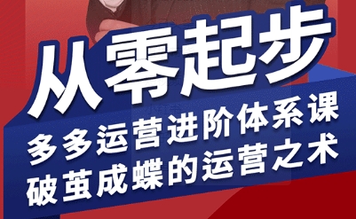 拼多多运营进阶系统课，从零起步，多多运营进阶体系课，破茧成蝶的运营之术-非凡网-资源网-最新项目分享网站