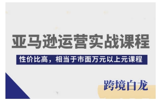 亚马逊运营实战课程，亚马逊从入门到精通，性价比高，相当于市面万元以上元课程-非凡网-资源网-最新项目分享网站