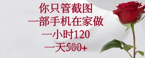 你只管截图，一部手机在家做，一小时120.一天5张【揭秘】-非凡网-资源网-最新项目分享网站