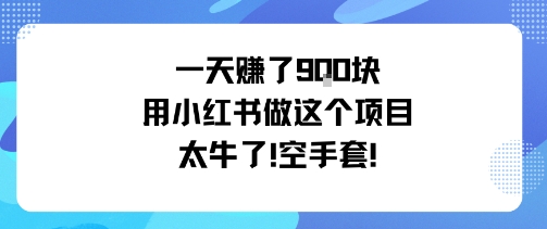 一天挣了9张用小红书做这个项目太牛了，空手套-非凡网-资源网-最新项目分享网站