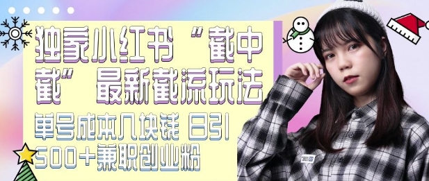 最新小红书截流玩法 独家截中截 单号成本几块钱 日引500+CY粉JZ粉-非凡网-资源网-最新项目分享网站