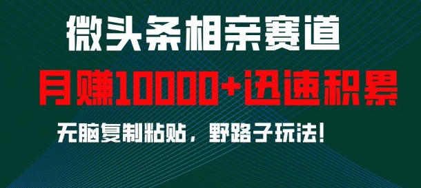 微头条相亲赛道，迅速积累，无脑复制粘贴，野路子玩法，月入1w-非凡网-资源网-最新项目分享网站