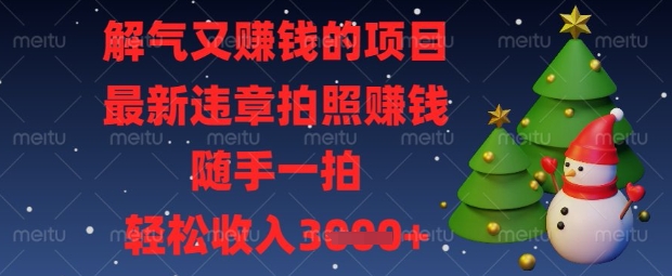 解气又挣钱的项目，最新违章拍照挣钱，随手一拍，轻松收入数张【揭秘】-非凡网-资源网-最新项目分享网站