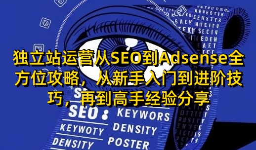 独立站运营从SEO到Adsense全方位攻略，从新手入门到进阶技巧，再到高手经验分享-非凡网-资源网-最新项目分享网站