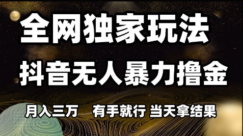 全网独家玩法抖音无人暴力撸金，月入3W，有手就行，当天拿结果【揭秘】-非凡网-资源网-最新项目分享网站