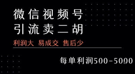 视频号卖二胡教程，利润大 易成交 售后少，一单利润5张+-非凡网-资源网-最新项目分享网站