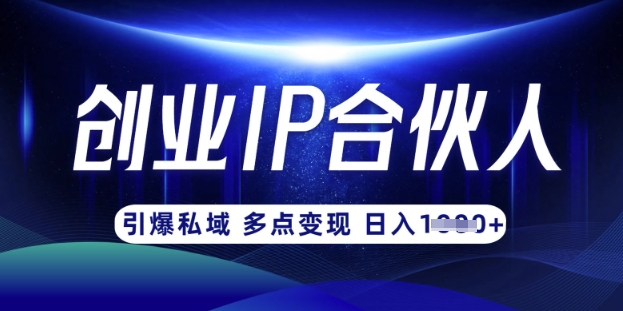 云帆·创业ip合伙人打造3.0，从0到1教你做网创，实现月入过W-非凡网-资源网-最新项目分享网站