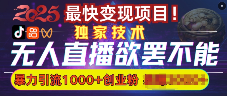 欲罢不能的无人直播引流，超暴力日引流1000+高质量精准创业粉-非凡网-资源网-最新项目分享网站