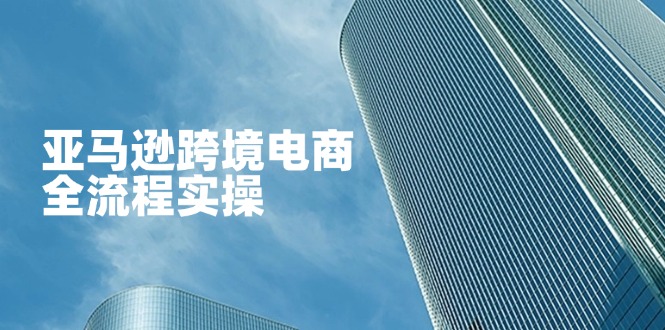 亚马逊跨境电商全流程实操，教你从零开始，掌握店铺运营与广告技巧-非凡网-资源网-最新项目分享网站