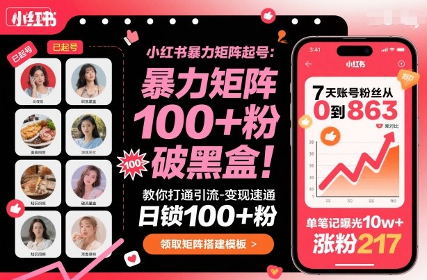 小红书暴力矩阵起号，教你打通引流-变现速通，日锁100+粉，破流量黑盒-非凡网-资源网-最新项目分享网站