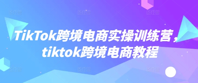 TikTok跨境电商实操训练营，tiktok跨境电商教程-非凡网-资源网-最新项目分享网站
