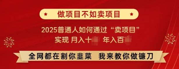 必看，做项目不如卖项目，2025普通人如何通过“卖项目”实现月入十个，年入百个-非凡网-资源网-最新项目分享网站