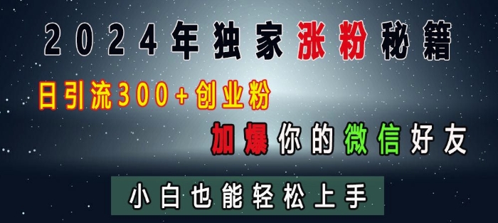 2024年独家涨粉秘籍，日引流300+创业粉，加爆你的微信好友，小白也能轻松上手-非凡网-资源网-最新项目分享网站