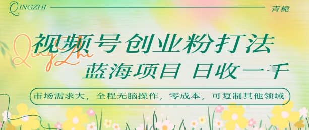 视频号创业粉打法，日入1k，蓝海项目，市场需求大，全程无脑操作，可复制-非凡网-资源网-最新项目分享网站