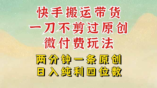 快手黑科技搬运带货，一刀不剪过原创，微付费投流玩法，轻松日入四位数…-非凡网-资源网-最新项目分享网站