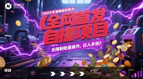 全网首发，2025年最新稳定暴力全自动自撸项目，无限制批量操作，日入多张【揭秘】-非凡网-资源网-最新项目分享网站