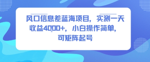 风口信息差蓝海项目，实测一天收益4k+，小白操作简单，可矩阵起号-非凡网-资源网-最新项目分享网站