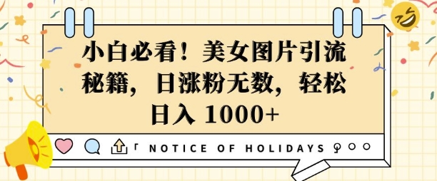 小白必看，美女图片引流秘籍，日涨粉无数，轻松日入几张【揭秘】-非凡网-资源网-最新项目分享网站