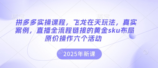 拼多多实操课程，飞龙在天玩法，真实案例，直播全流程链接的黄金sku布局原价操作六个活动-非凡网-资源网-最新项目分享网站