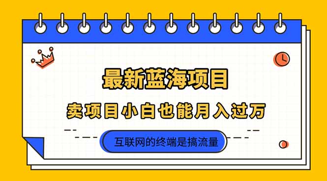 2025年最新蓝海项目，卖项目小白也能月入过万-非凡网-资源网-最新项目分享网站