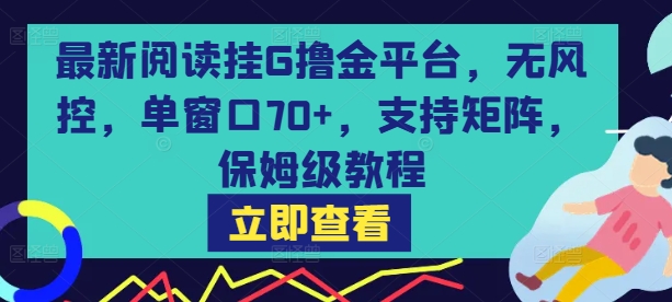 最新阅读挂G撸金平台，无风控，单窗口70+，支持矩阵，保姆级教程【揭秘】-非凡网-资源网-最新项目分享网站