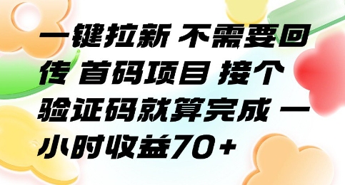 一键拉新 不需要回传 首码项目 接个验证码就算完成 一小时收益70+【揭秘】-非凡网-资源网-最新项目分享网站