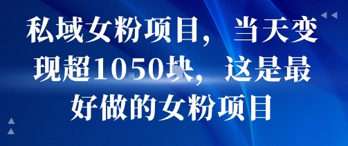 私域女粉项目，当天变现超1k，这是最好做的女粉项目，可放大操作-非凡网-资源网-最新项目分享网站
