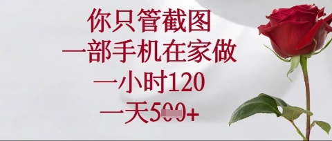 你只管截图，一部手机在家操作，一小时120.一天5张【揭秘】-非凡网-资源网-最新项目分享网站