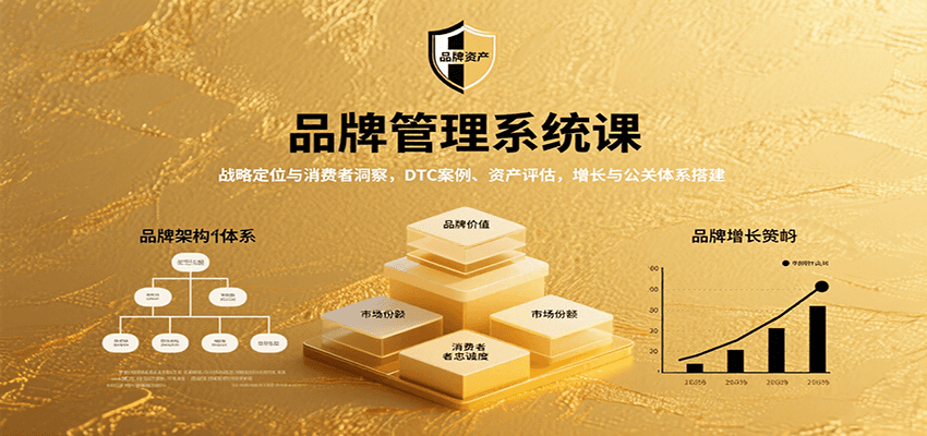 品牌管理系统课：战略定位与消费者洞察，DTC案例、资产评估，增长与公关体系搭建-非凡网-资源网-最新项目分享网站
