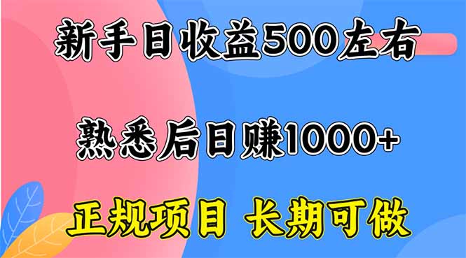 新手日收益500+ 正规项目 长期可做-非凡网-资源网-最新项目分享网站