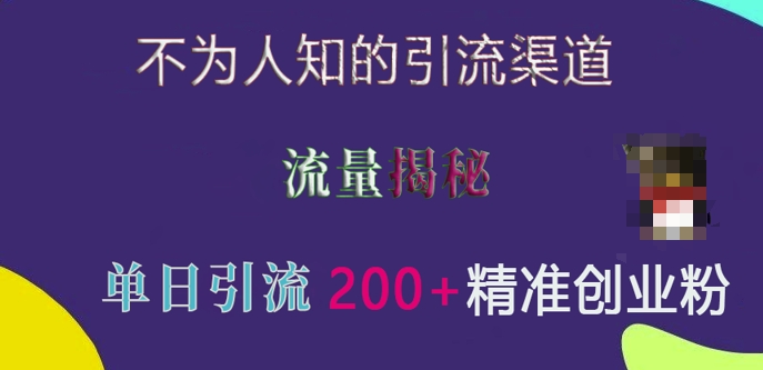 不为人知的引流渠道，流量揭秘，实测单日引流200+精准创业粉【揭秘】-非凡网-资源网-最新项目分享网站