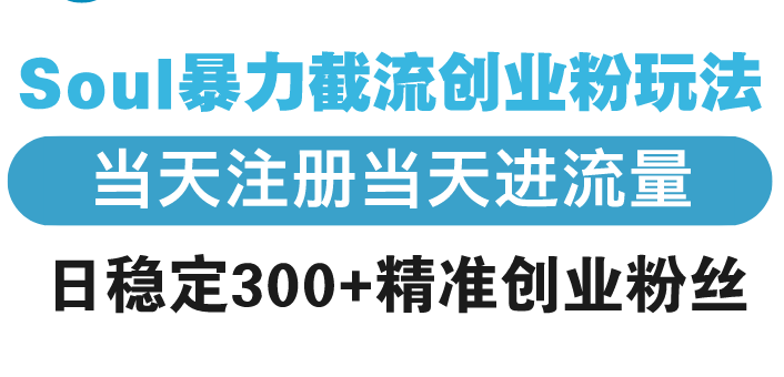 Soul暴力截流创业粉玩法，当天注册当天进流量，日稳定300+精准创业粉丝-非凡网-资源网-最新项目分享网站