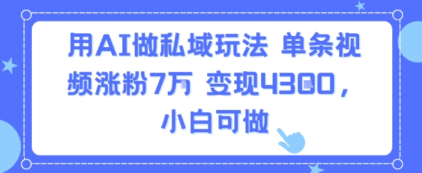 用AI做私域玩法，单条视频涨粉7W变现4.3k，小白可做-非凡网-资源网-最新项目分享网站