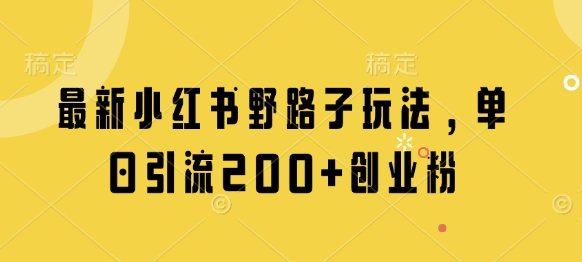 最新小红书野路子玩法，单日引流200+创业粉-非凡网-资源网-最新项目分享网站