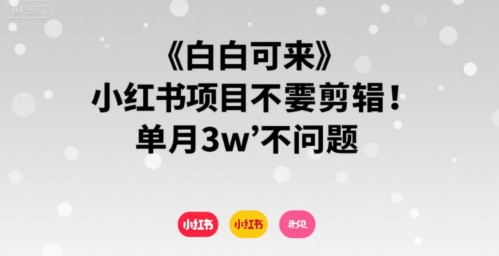 小白可来 小红书项目不需要剪辑 单月3w不是问题-非凡网-资源网-最新项目分享网站