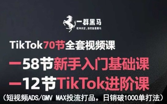 TikTok全套视频课，新手入门+进阶课，短视频ADS-GMV MAX投流打品，日销破1000单打法-非凡网-资源网-最新项目分享网站