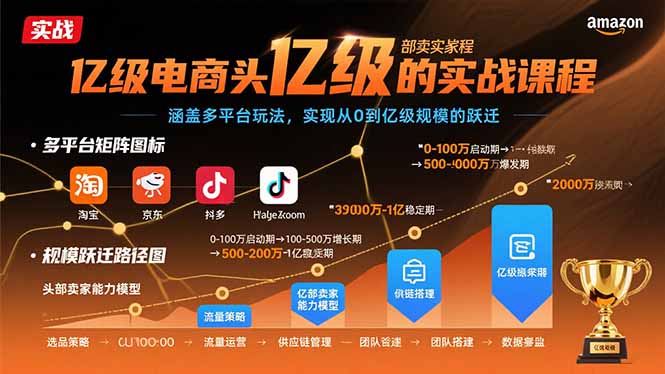 亿级电商头部卖家的实战课程：涵盖多平台玩法，实现从0到亿级规模的跃迁-非凡网-资源网-最新项目分享网站