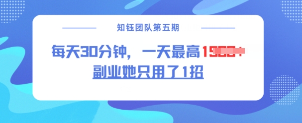 副业她只用了1招，每天30分钟，无脑二创，一天最高1.5k-非凡网-资源网-最新项目分享网站