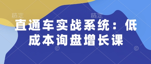 直通车实战系统：低成本询盘增长课，让个人通过技能实现升职加薪，让企业低成本获客，订单源源不断-非凡网-资源网-最新项目分享网站