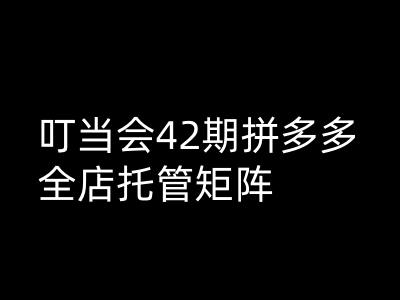 叮当会拼多多打爆班原创高阶技术第42期，拼多多全店托管矩阵-非凡网-资源网-最新项目分享网站