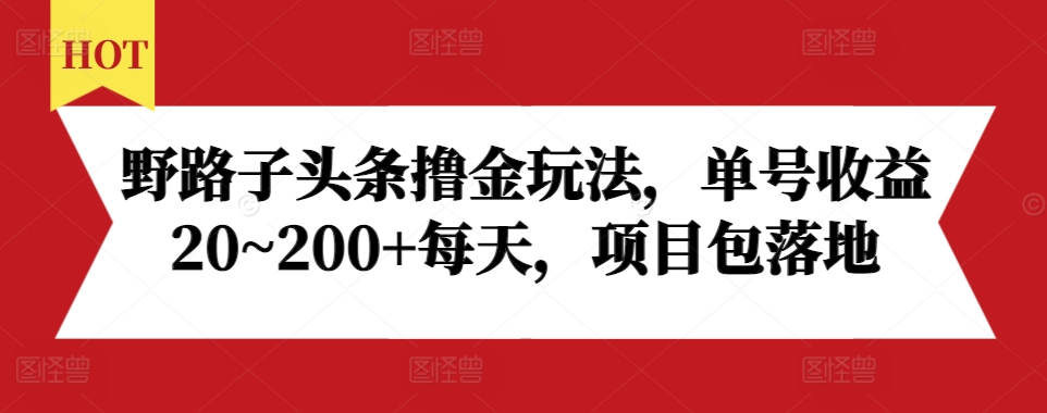 野路子头条撸金玩法，单号收益20~200+每天，项目包落地-非凡网-资源网-最新项目分享网站