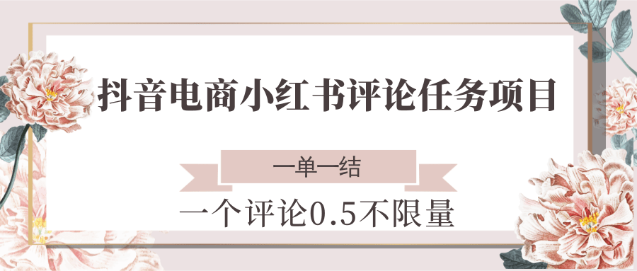 抖音电商小红书评论任务项目，一个评论0.5，一单一结 不限量-非凡网-资源网-最新项目分享网站