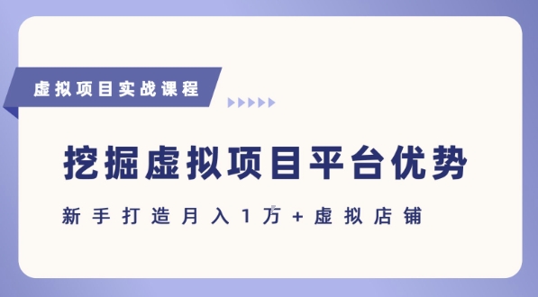 抓住虚拟项目各平台优势，新手轻松月入1W+(给出具体建议)-非凡网-资源网-最新项目分享网站