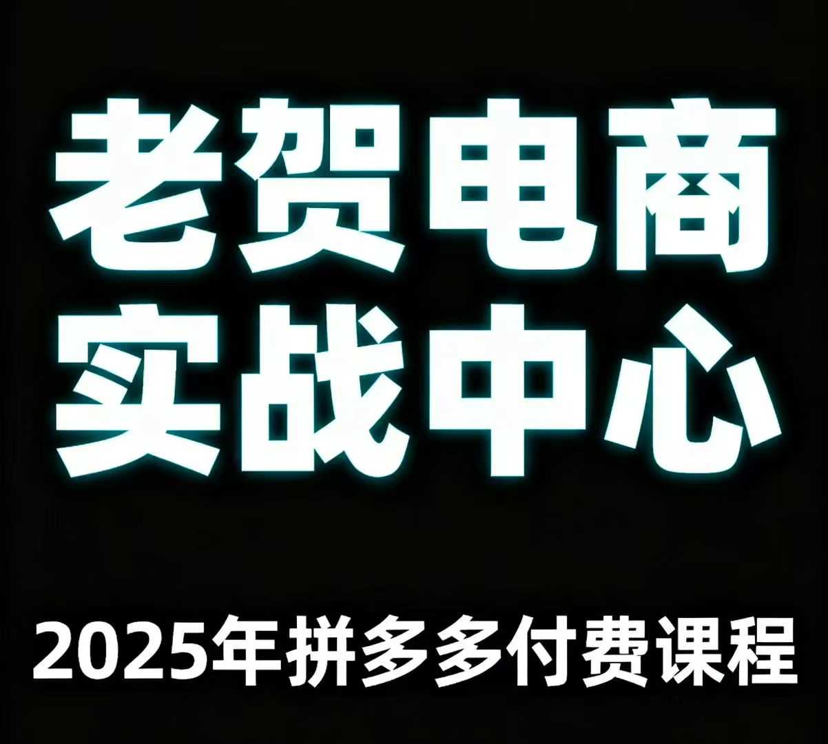 老贺电商2025年拼多多付费课程，用通俗易懂的方法告诉你多多怎么玩-非凡网-资源网-最新项目分享网站