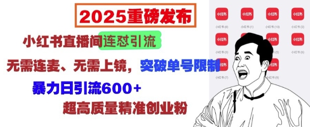 2025重磅发布：小红书直播间连怼引流，无需连麦、无需上镜，突破单号限制，暴力日引流600+-非凡网-资源网-最新项目分享网站