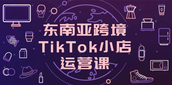 东南亚跨境TikTok小店运营课，掌握店铺设置与流量转化核心技巧-非凡网-资源网-最新项目分享网站