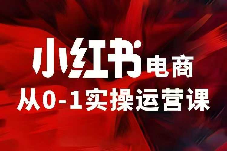 小红书电商运营，97节小红书vip内部课，带你实现小红书赚钱-非凡网-资源网-最新项目分享网站