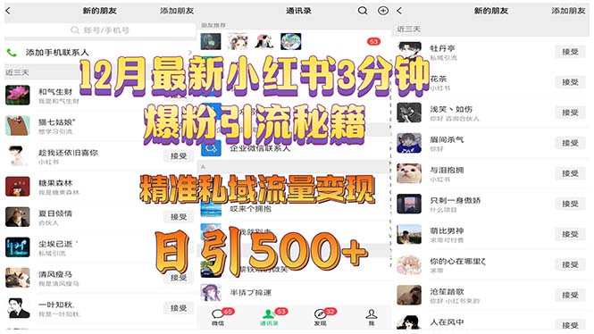 12月最新小红书3分钟爆粉引流秘籍 精准私域流量变现 日引500+-非凡网-资源网-最新项目分享网站