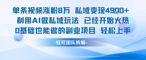 单条视频私域变现4.9k+利用AI做私域玩法 已经开始火热0基础也能做的副业项目轻松上手-非凡网-资源网-最新项目分享网站